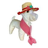 Fantasia Para Cachorros Cães Gatos Pet Chapéu Lenço Caipira