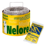 Nelore