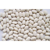 Fava Branca Peruana Graúda 1kg - Feijão Fava Branca Premium