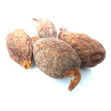 Candomblé