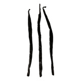 Fava De Baunilha Madagascar 3 Favas Boubon Vanilla