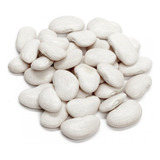 5.kg