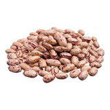  Feijão Jalo Rajado 1 Kg+ 10 Outros Tipos De Sementes/brinde