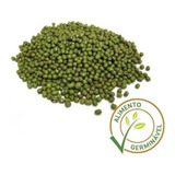 Feijão Moyashi - 10kg Imperdível!!!!