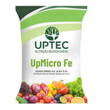 1kg