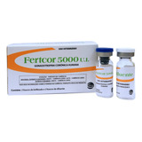 Hcg