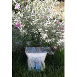 Fertilizante 3kg Nk 12 00 46 Nitrato De Potassio Hidroponia