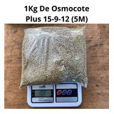 Kg