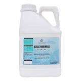 Fertilizante Grama Esmeralda Algas Marinhas 5 L Rende 1000 L
