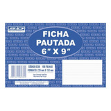 Ficha Pautada 6x9 100 Fls São Domingos
