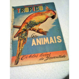 Figurinha - Trópico Série Animais - Ano 1951 - Ver Descrição
