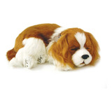 Cavalier