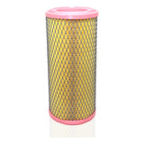 Filtro Ar Mann-filter C17337/3 Para Case