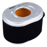 Filtro Ar Motor Estacionário Gx140 Gx160 Gx200 2893881