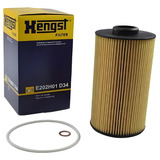 Filtro Oleo Motor Hengst Bmw 540i X5 4.4i E202h01d34 M62