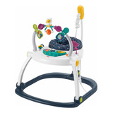Fisher Price - Cadeirinha Bebê Pula Pula