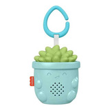Fisher Price Suculenta Soother Planta Relaxante