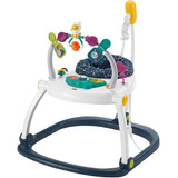 Fisher-price Baby Gear Cadeira Pula-pula Diversão