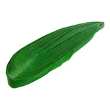 Kg