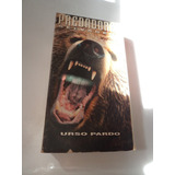 Fita V.h.s. - Predadores Selvagens-urso Pardo