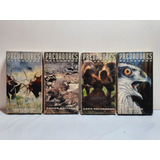 Fita Vhs Predadores Selvagens 4 Unidades Cd 804