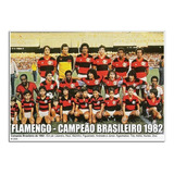 Flamengo - Campeão Brasileiro 1982 [30x42cm]
