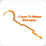 Diafragma