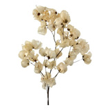 Flor De Bouganville Buganvília Branca Natural Desidratado