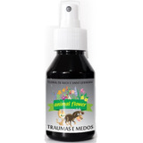 100ml