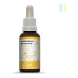 Floral De Bach Para Pets Aceitando Um Novo Animal 31ml
