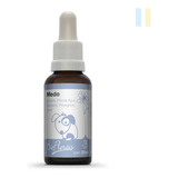 Floral De Bach Pet Tratamento Do Medo 31ml Bio Florais