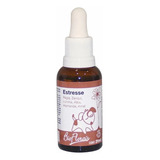 Floral P/ Cães E Gatos Estresse Fr De 37 Ml - Bio Florais 