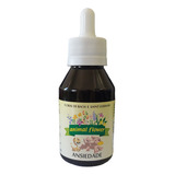 Floral Para Cachorros E Gatos Ansiedade 100ml Animal Flower
