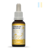 31ml