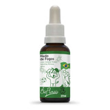 Floral Pet Medo De Fogos 31ml - Bio Florais