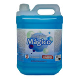 Flotador Universal Multi Uso Apc Limpa Estofados Tornador 5l