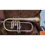 Flugelhorn Sib Dolphin Classic Dourado Completo