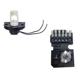110v/220v