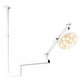 Foco Para Clínica 24 Led Vet/cirúrgico Bicolor Teto