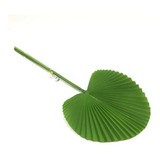 Folha De Latânia Silicone 3d Realista Artificial Decorativa