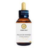 Folha De Mamão - Extrato 60ml