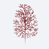 Arvore