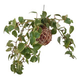 Kokedama