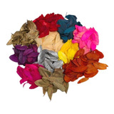 Folhas Redonda Quina Secas Natural Desidratadas Moeda Flor