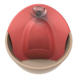 Fonte Bebedouro Purificador De Água Petit Gatos 220v - Verme