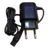 110v/220v