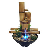 Bivolt