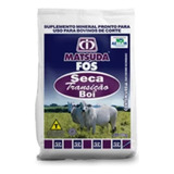 Pecuária