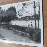 Foto Postal Do Lago Das Rosas