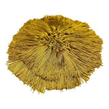 Dourada